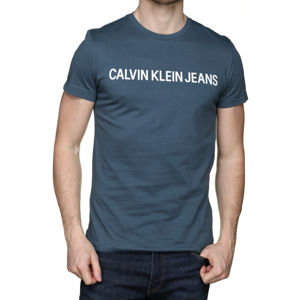 Calvin Klein pánské potrolejové tričko Logo - S (CH0)